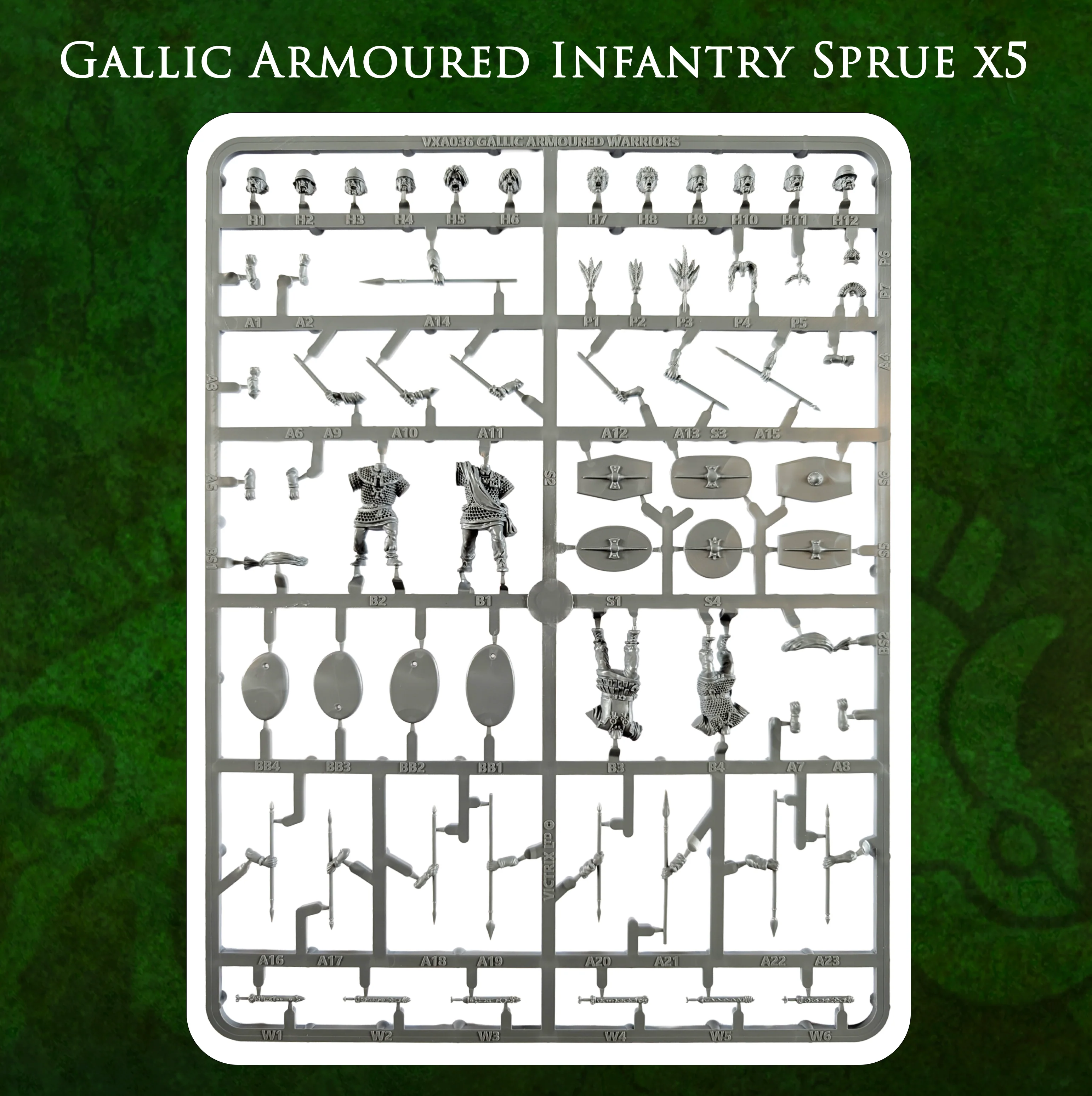 Gallic Armoured Warriors - Image 13