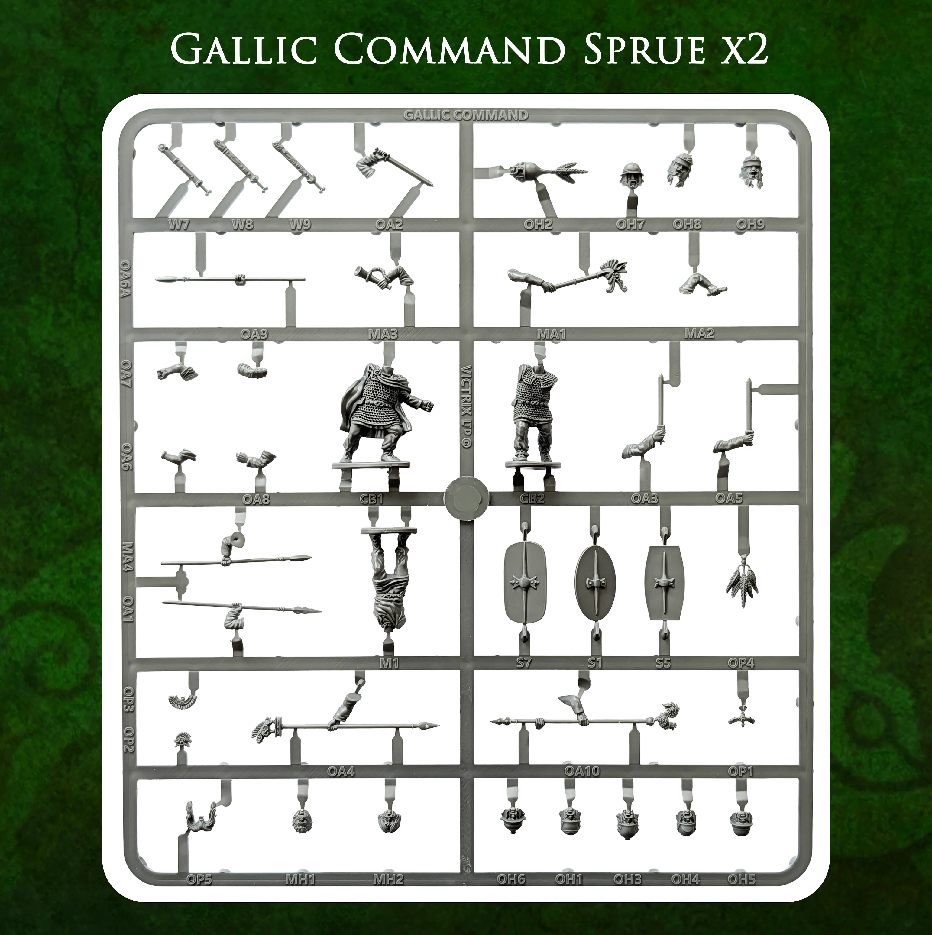 Gallic Armoured Warriors - Image 14