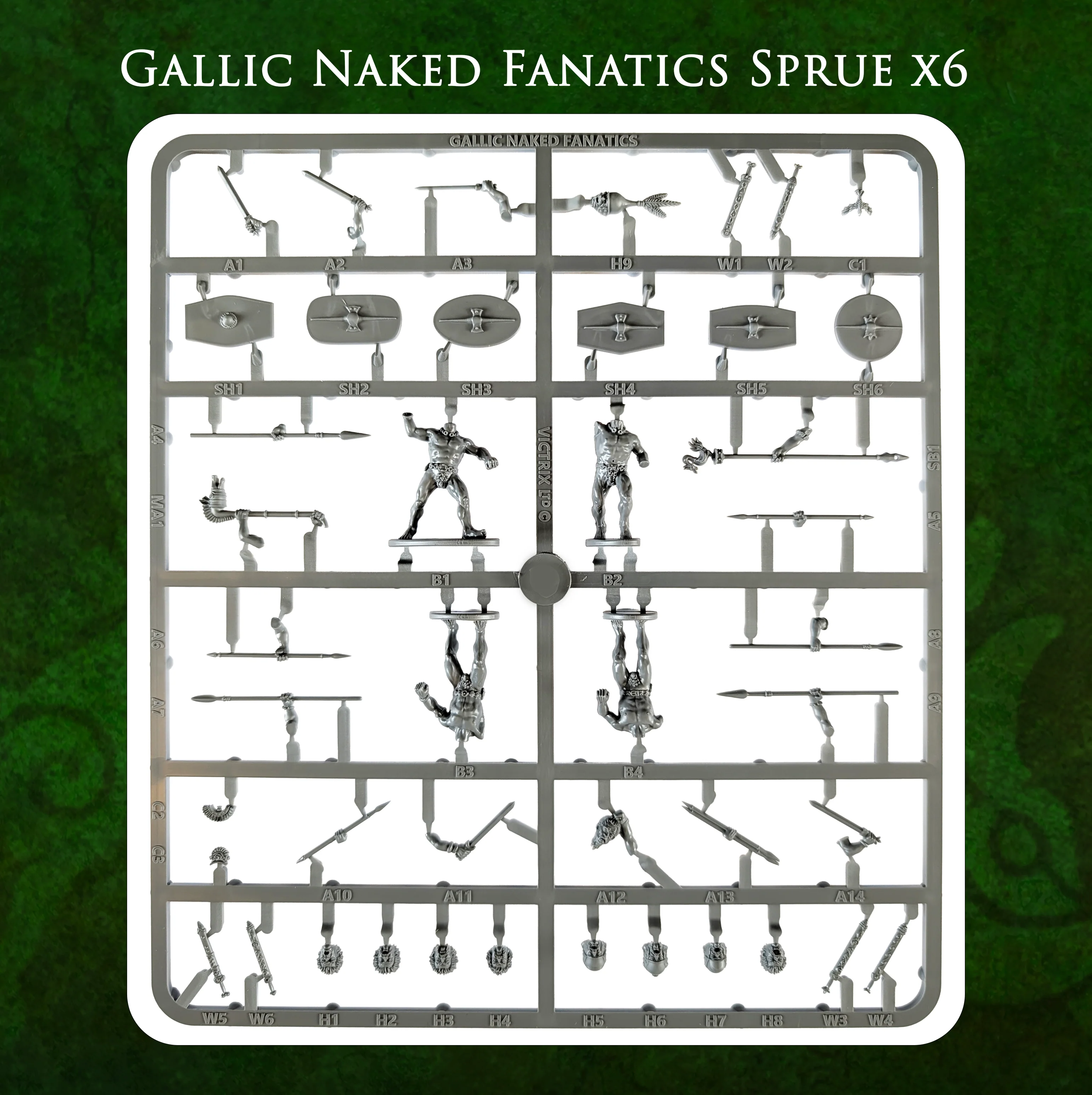 Gallic Naked Fanatics - Image 6