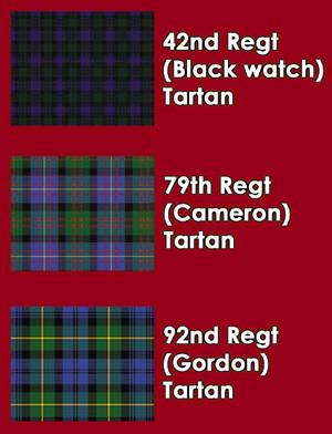 British Napoleonic Highlander Centre Companies - Image 14