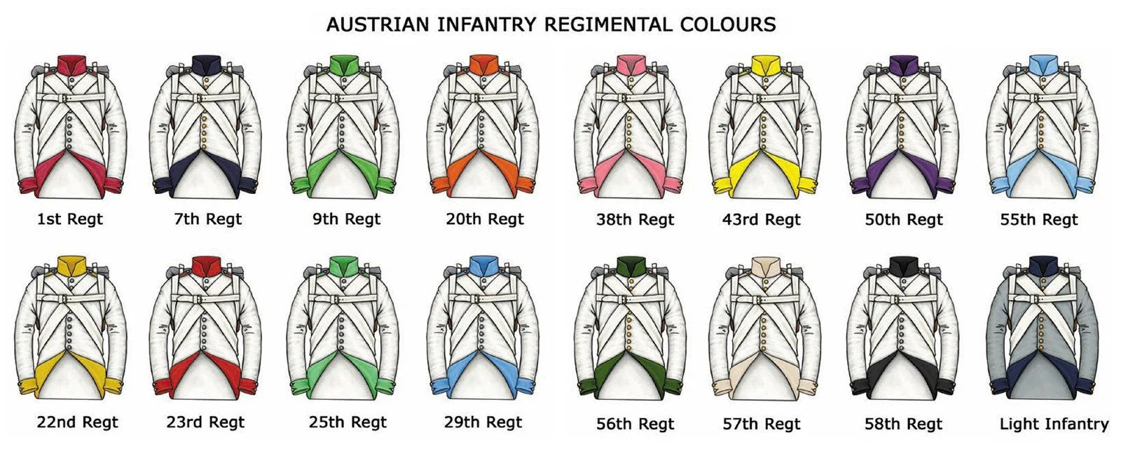 Austrian Napoleonic Infantry 1806-1815 - Image 4