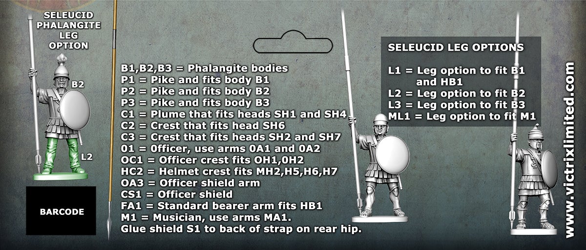 Successor Phalangites - Image 7