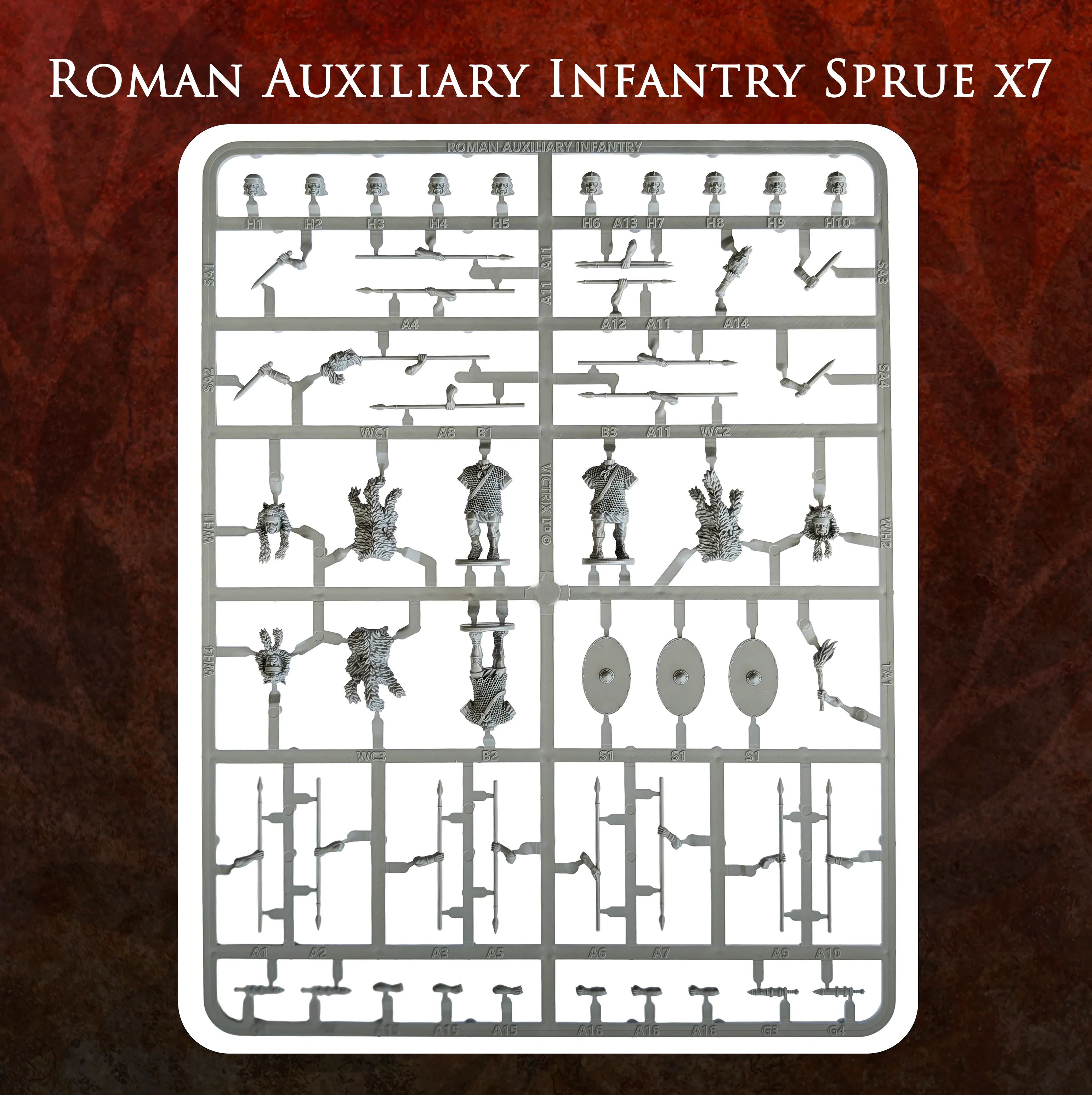 Early Imperial Roman Auxiliary Infantry - Image 2