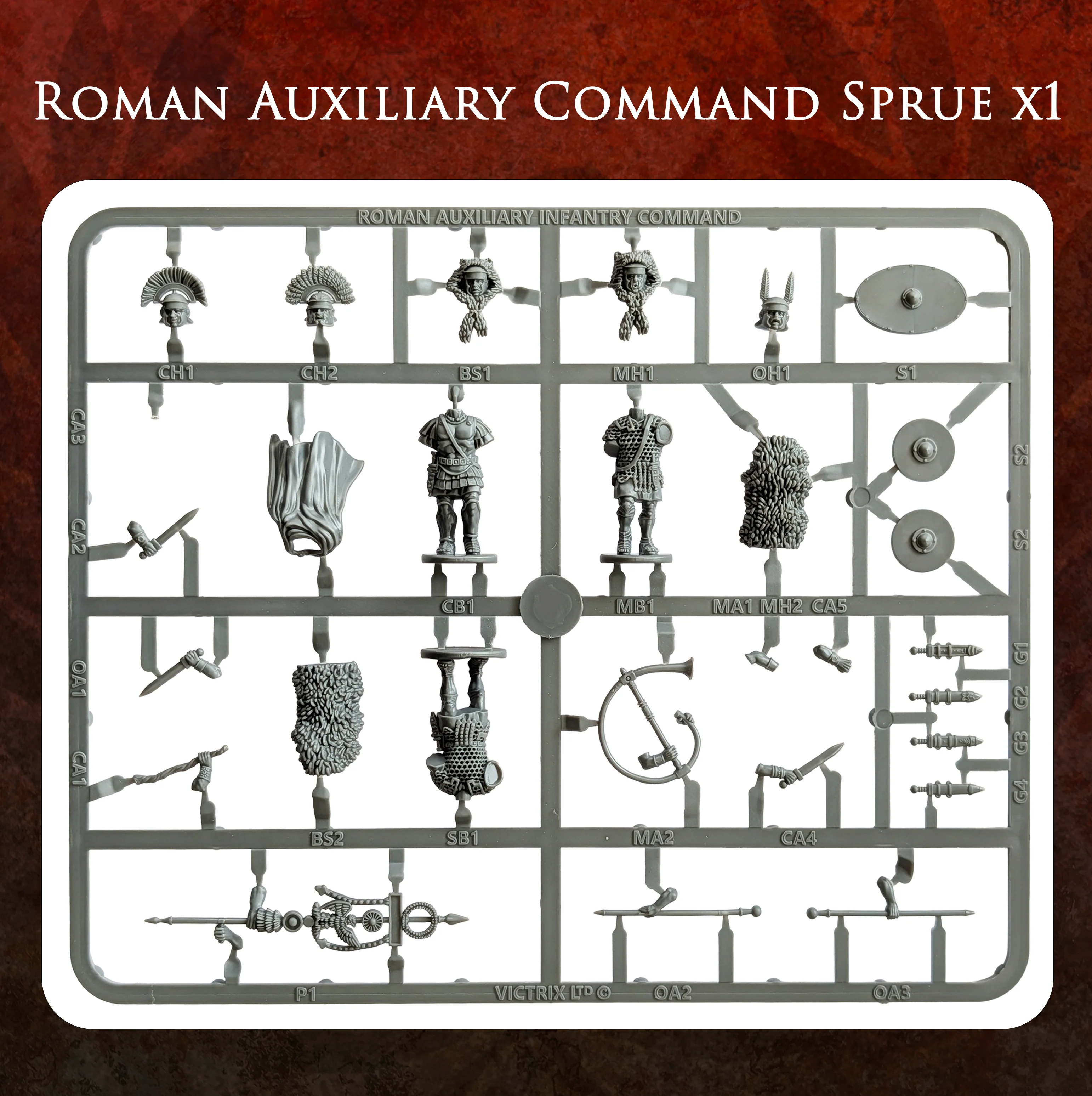 Early Imperial Roman Auxiliary Infantry - Image 3