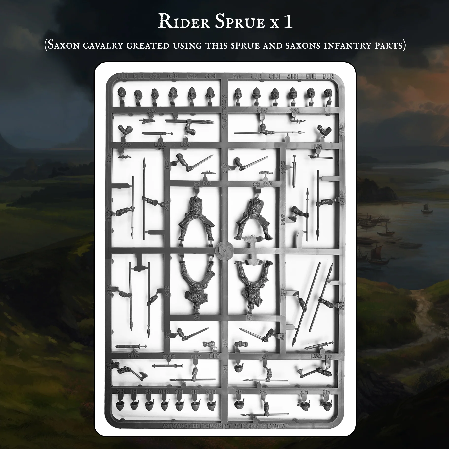 Saxon Warband - Image 11